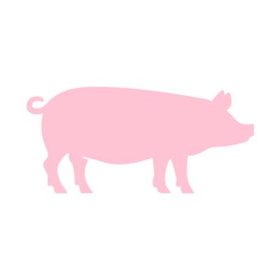 Frosne gryderetter med gris